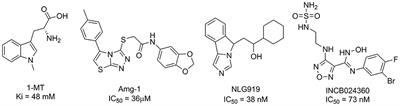 Discovery of Novel Inhibitors of Indoleamine 2,3-Dioxygenase 1 Through <mark class="highlighted">Structure-Based Virtual Screening</mark>